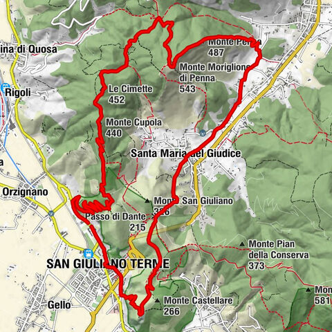 Moriglione della penna