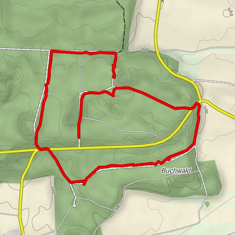Waldwanderung ums Windrad