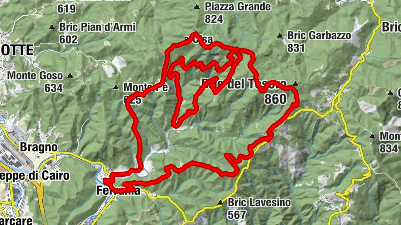 Cinghialtracks (Ferrania)