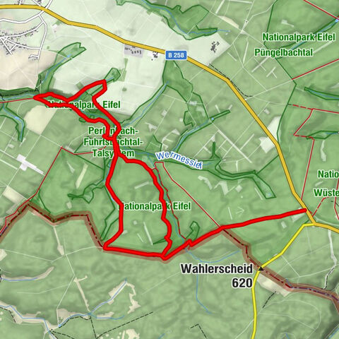 Fichtenforste und Buchenwälder