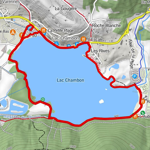 Le 50 - L'Auberge du Lac - Restaurant du Domaine du Lac - Lac Chambon