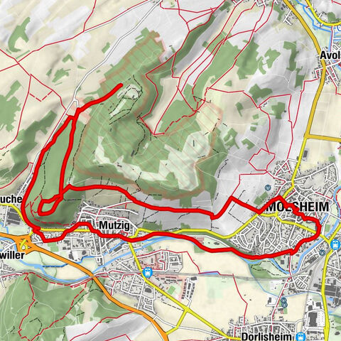 Randonnée Vers le géant - le fort de Mutzig