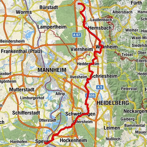 Percorso patrimonio mondiale (Speyer - Lorsch)