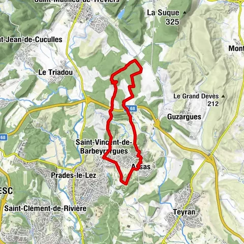 OENORANDO® TRA GRÉS DE MONTPELLIER E PIC SAINT-LOUP