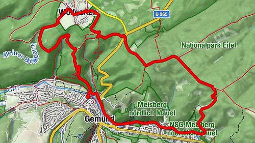 Themen-Tour 7 - Auf verschlungenen Pfaden - Nationalpark Eifel