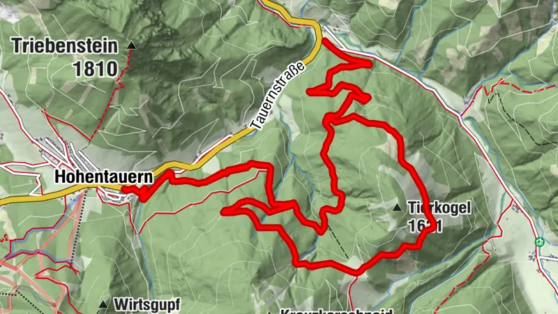 Tour H1 - MTB - Hasensattel zurück über Mühlgraben