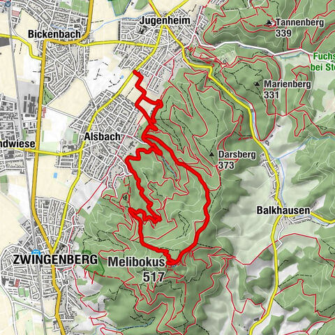 Rundweg von Jugenheim über den Melibokus und das Alsbacher Schloss auf schmalen Pfaden