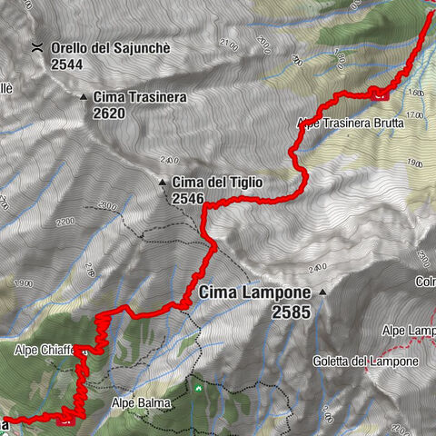 Carcoforo- colle del termo- rima