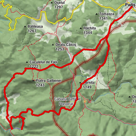 Padiș - Peștera Ghețarul de la Focul Viu - Șaua Borțig - Varniţa