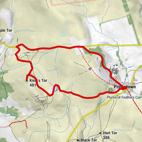 Princetown - King's Tor