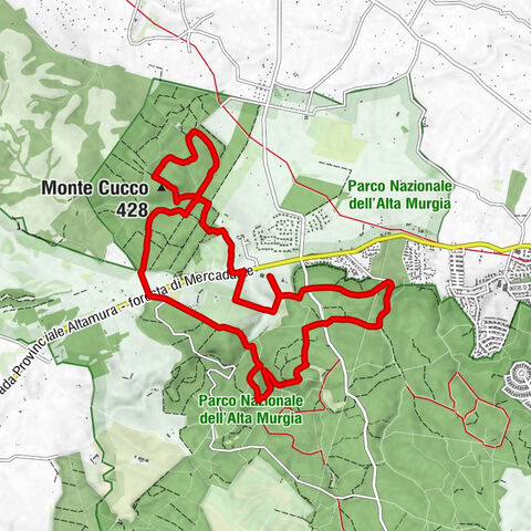 Il Tronco - Lama le Grotte - Monte Cucco - La Selva di Diana