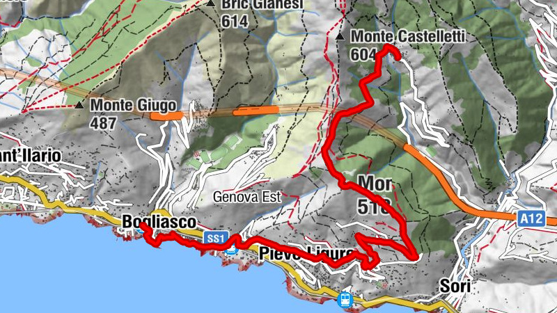 Mappa