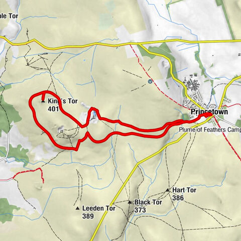 Princetown - King's Tor