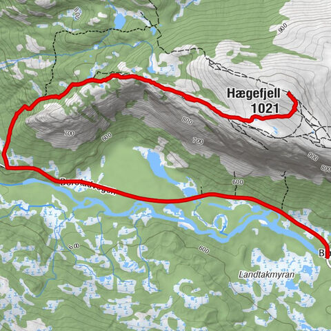Kviteseid - Hægefjell