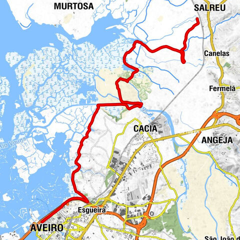 Aveiro - Cacia - Estarreja - Salreu