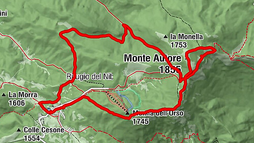 Campo dell'Osso - Il capriolo - Monte Autore - Monna dell'Orso