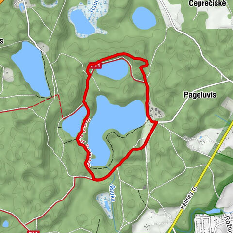 Bubių seniūnija - Pageluvis