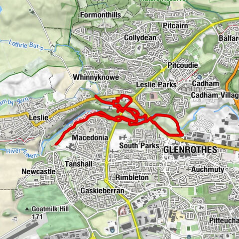 Fettykil Fox - Glenrothes - Whinnyknowe