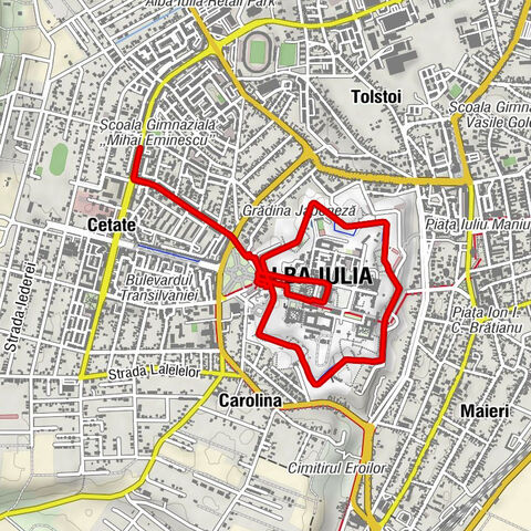 Cetate - Biserica Ortodoxă Sfântul Mina (1966) - Biserica Sf Mina - Catedrala Reîntregirii Neamului