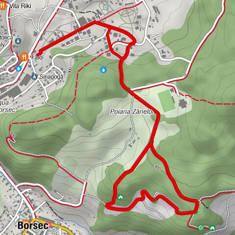 Izvorul Lázár - Izvorul nr.6 - Grota Ursilor - Borsec - Izvorul Petőfi - Izvorul nr.11