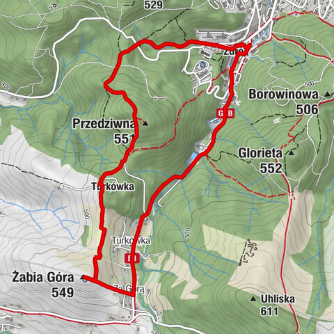 Iwonicz-Zdrój - Przedziwna - Żabia Góra - Kościół pw. Świętego Iwona