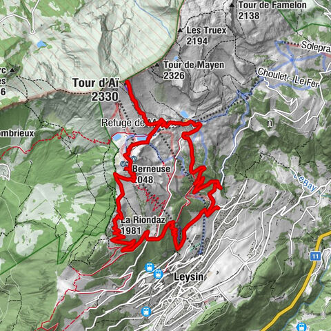 Leysin - La Riondaz - Berneuse - Tour d'Aï