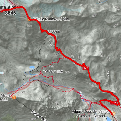 Rifugio Doss dei Cembri / Doss dei Gembri - Punta Linke - Monte Vioz - Rifugio Mantova al Vioz