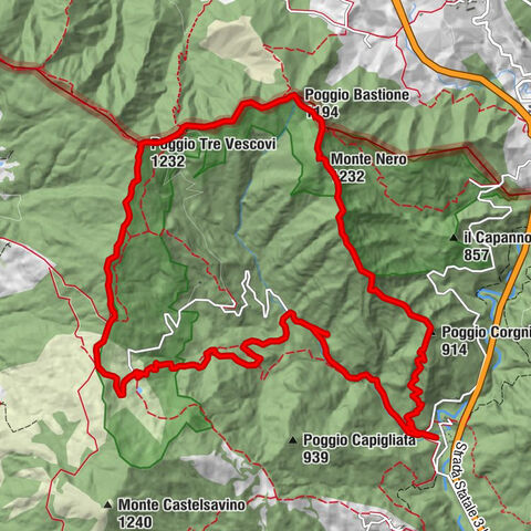 Valsavignone - Monte Nero - Poggio Bastione - Poggio Tre Vescovi