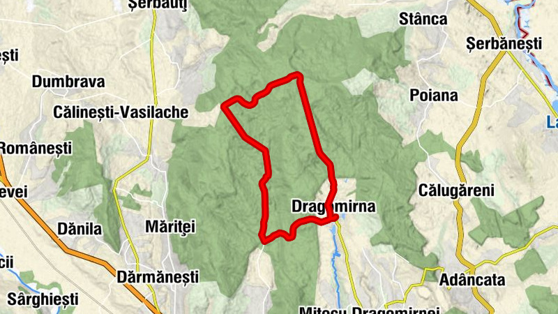 Dragomirna