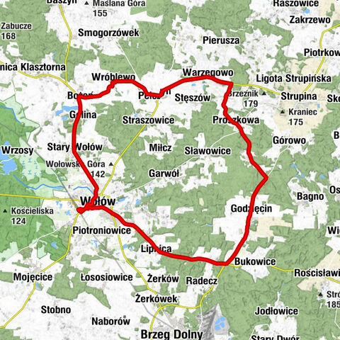 Wołów - Kościół pw. Najświętszego Serca Pana Jezusa - Kościół pw. św. Wojciecha - Kościół pw. św. Teresy od Dzieciątka Jezus
