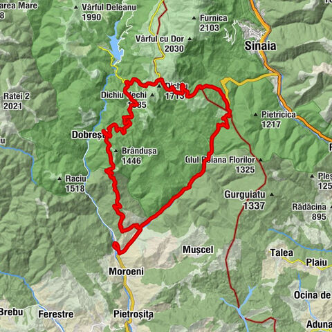 Moroeni - Biserică - Șaua Dichiu - Cuibul Dorului