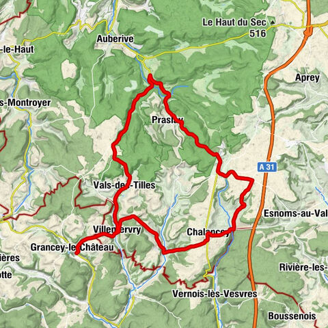 Grancey-le-Château - Église Notre-Dame-de-la-Nativité - Église Notre-Dame-en-son-Assomption - Église Sainte-Madeleine