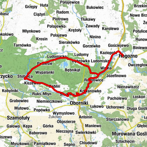 Rogoźno - Ruda - Nowy Młyn - Kościół pw. Podwyższenia Krzyża Świętego
