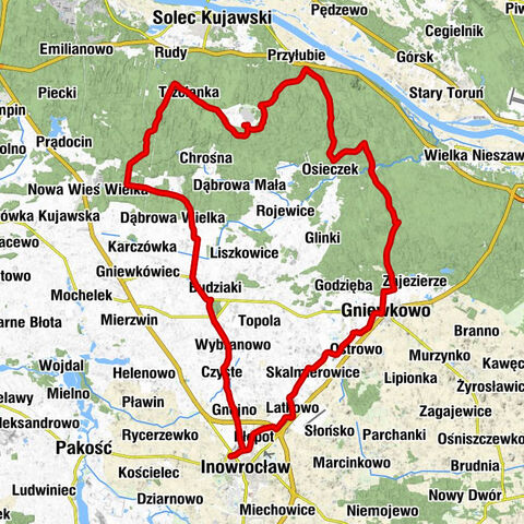 Inowrocław - Restauracja Pod Lwem - Gniewkowo