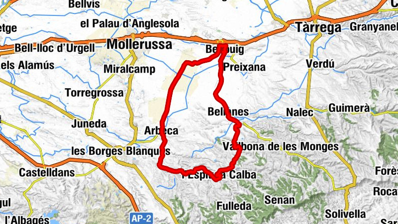 Bellpuig - L´Estoneta - Parròquia de Sant Pere - Immaculada Concepció