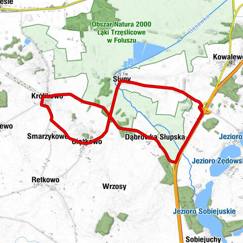 Królikowo - Ciężkowo - Dąbrówka Słupska - Kościół pw. Świętego Wita