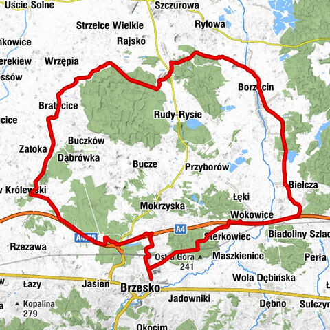 Brzesko - Kaplica domowa - Kościół św. Feliksa w Niedzieliskach - Kościół Matki Bożej Anielskiej w Bielczy