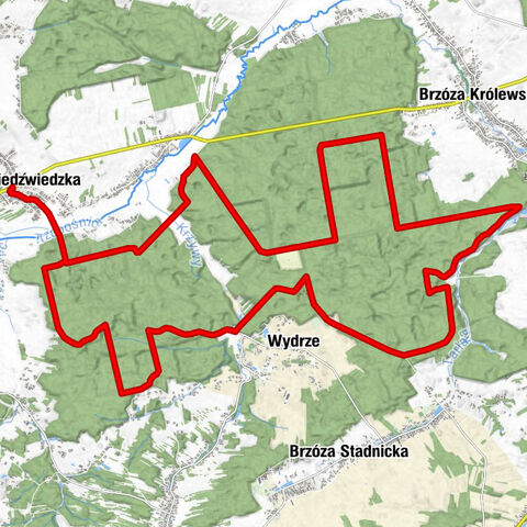 Kościół pw. Matki Bożej Królowej Polski - Kępa - Julin - Wólka Niedźwiedzka