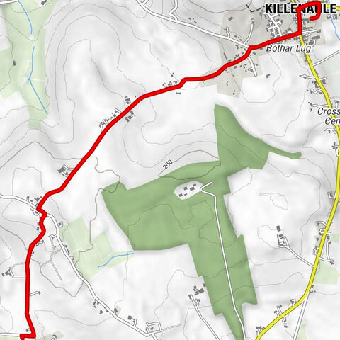 Killenaule - Fly Dragon