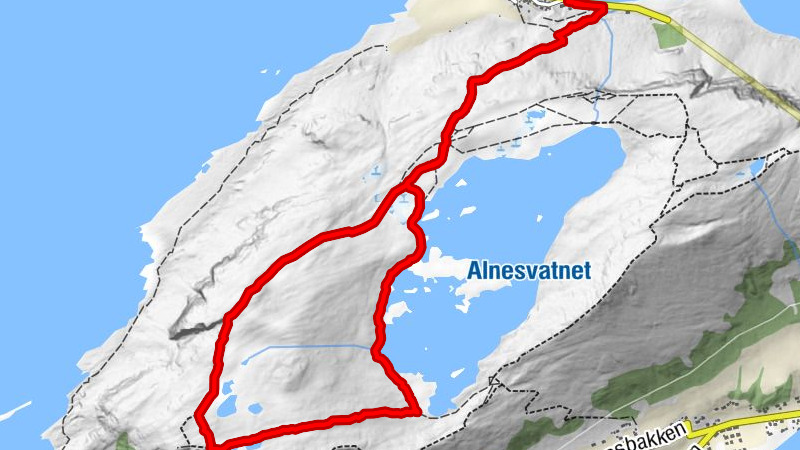 Alnes