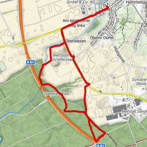 Lauf durch den Schifferstadter Wald