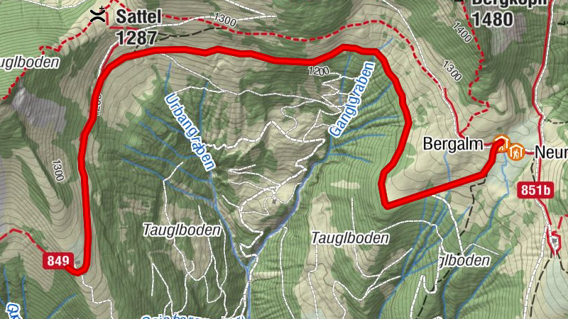 Bergalm zur Gugelan