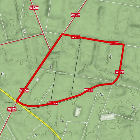 Kurze Tour (4,7 km) Dem Förster über die Schulter geschaut