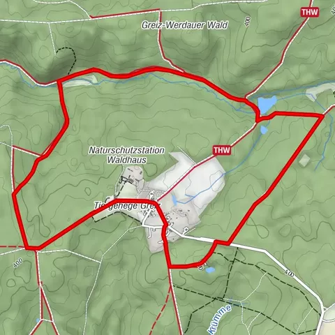 Durch das Waldhaus-Revier Greiz