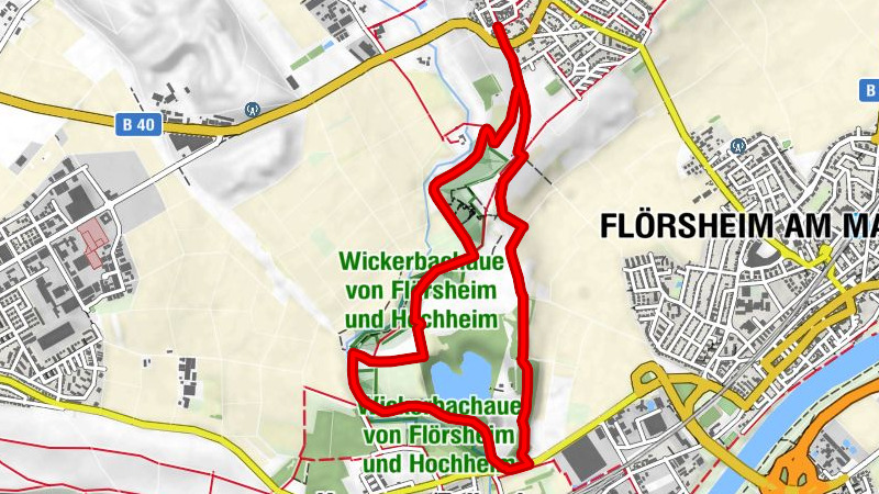 Flörsheimer Schweiz (Rieslingschleife)