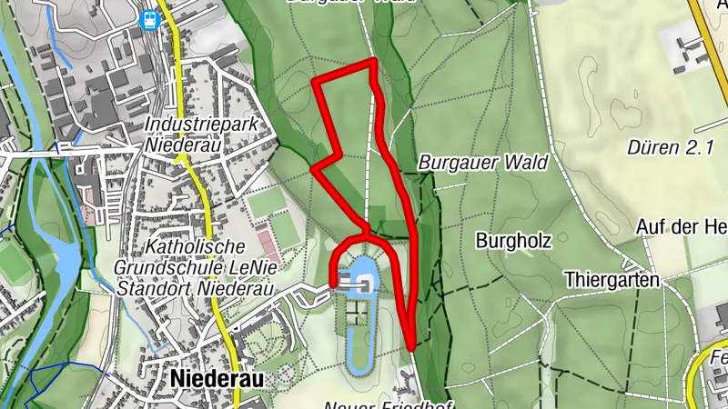 Düren: Forstlehrpfad im Wald von Schloss Burgau