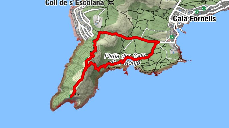 PagueraCala Fornells Cap Andritxol