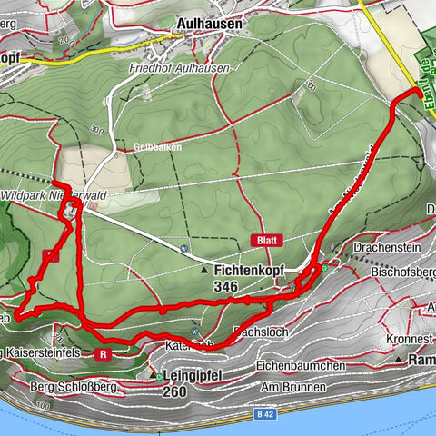 Rund ums Niederwald Denkmahl