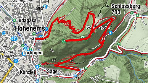 Zur Ruine Alt Ems - Serpentinenweg auf den Schlossberg
