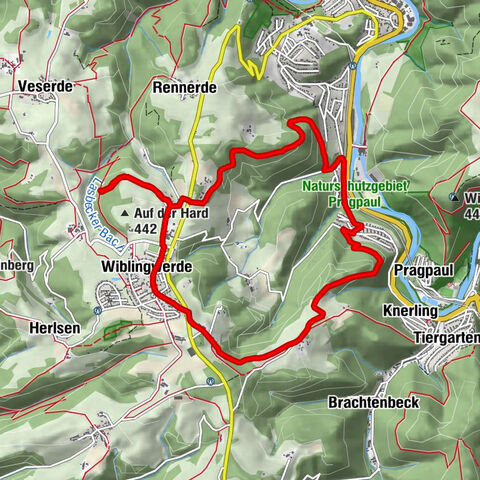 Wiblingwerde 12